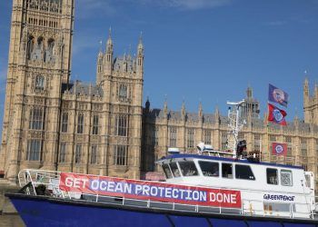 Fishermen and Greenpeace activists