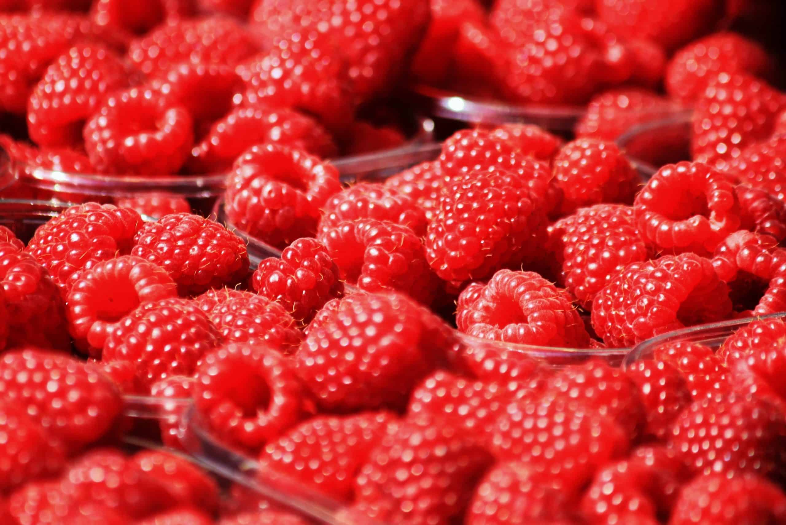 Raspberry farm – who couldn’t find local workers – stripped bare after free fruit offer