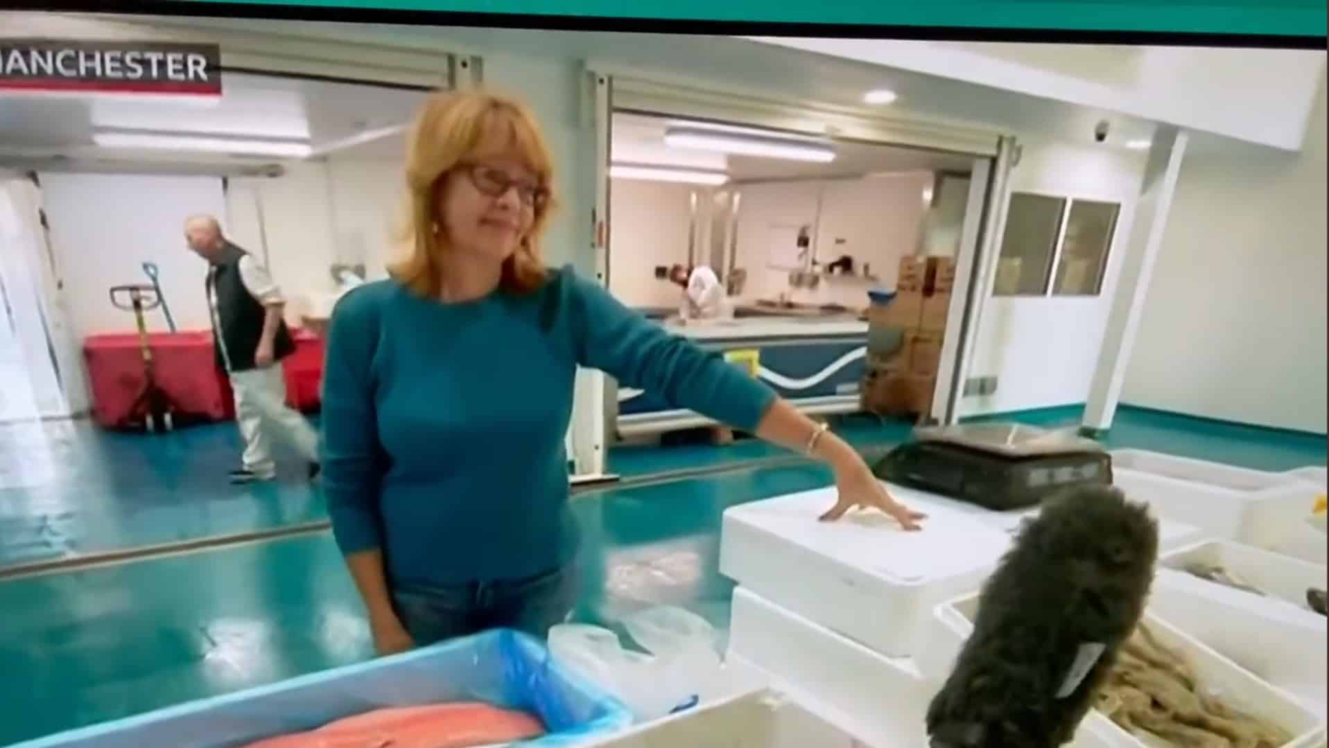 Trader blames Brexit for soaring price of fish – but BBC edits it out