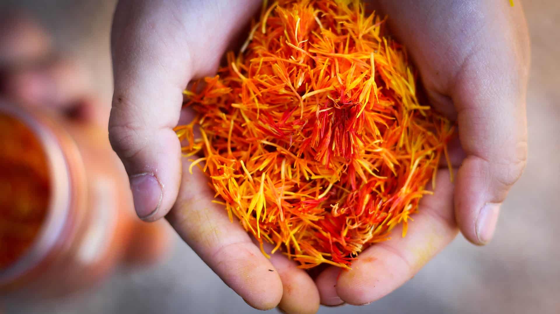 Saffron the expensive spice offered trade hope for Afghanistan – now at risk to the Taliban