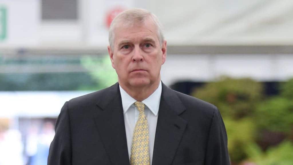 Watch: Prince Andrew heckler charged – reactions