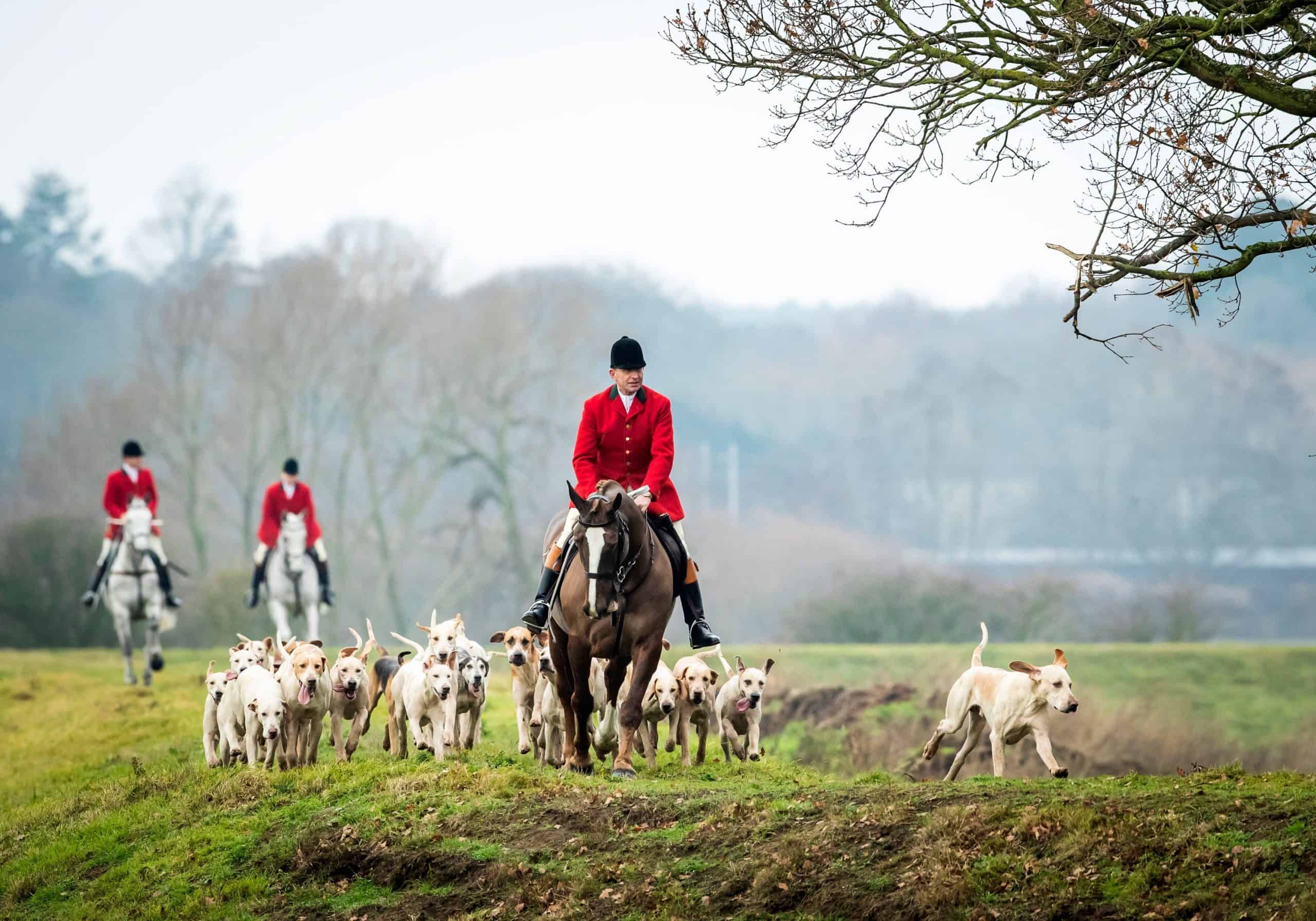 How to help end trail hunting on National Trust land