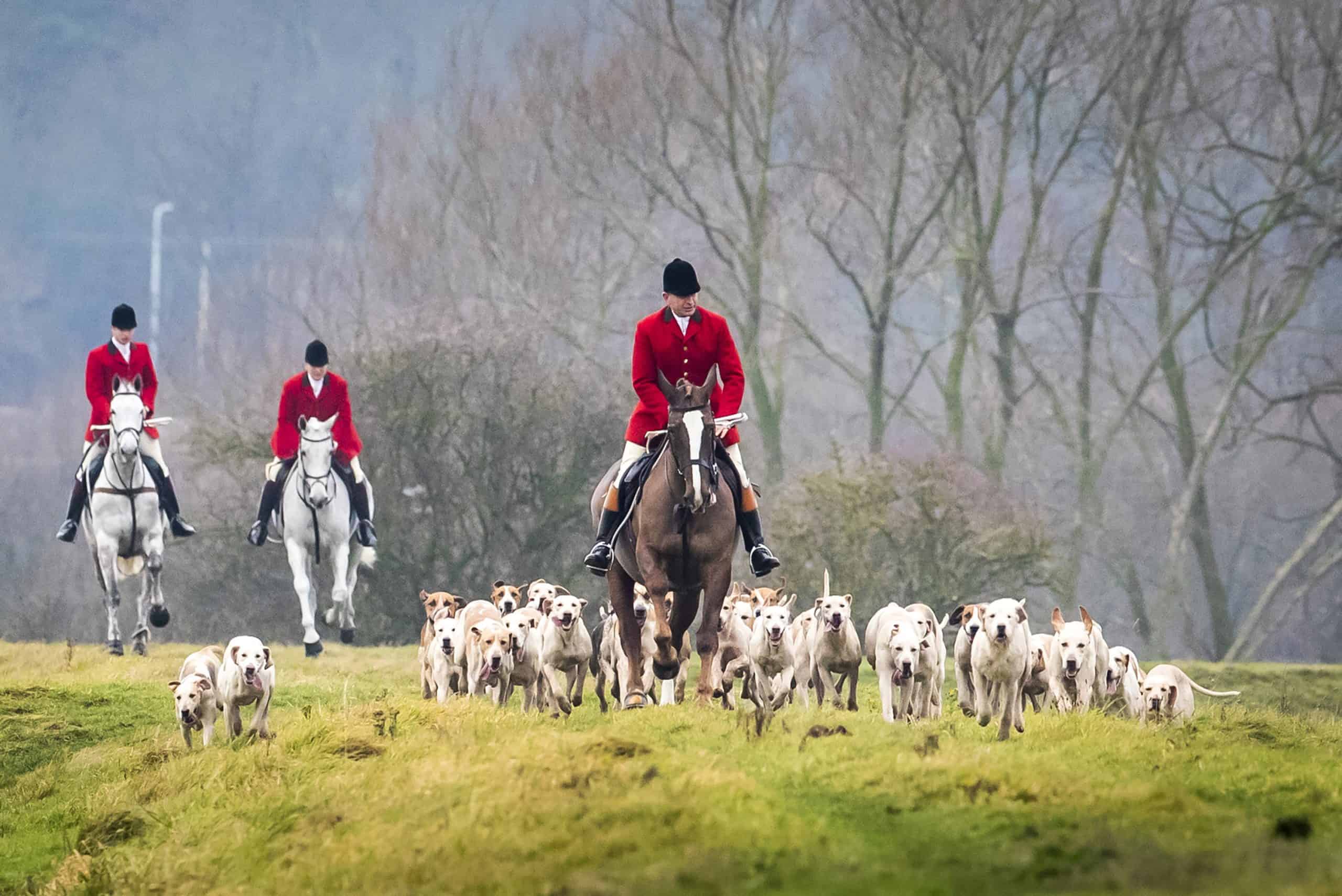 WATCH: Punches thrown at annual Boxing Day Hunt as hunting ban calls intensify