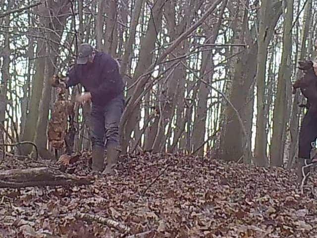 Video: Hidden camera shows man stab fox with pitchfork in sickening attack