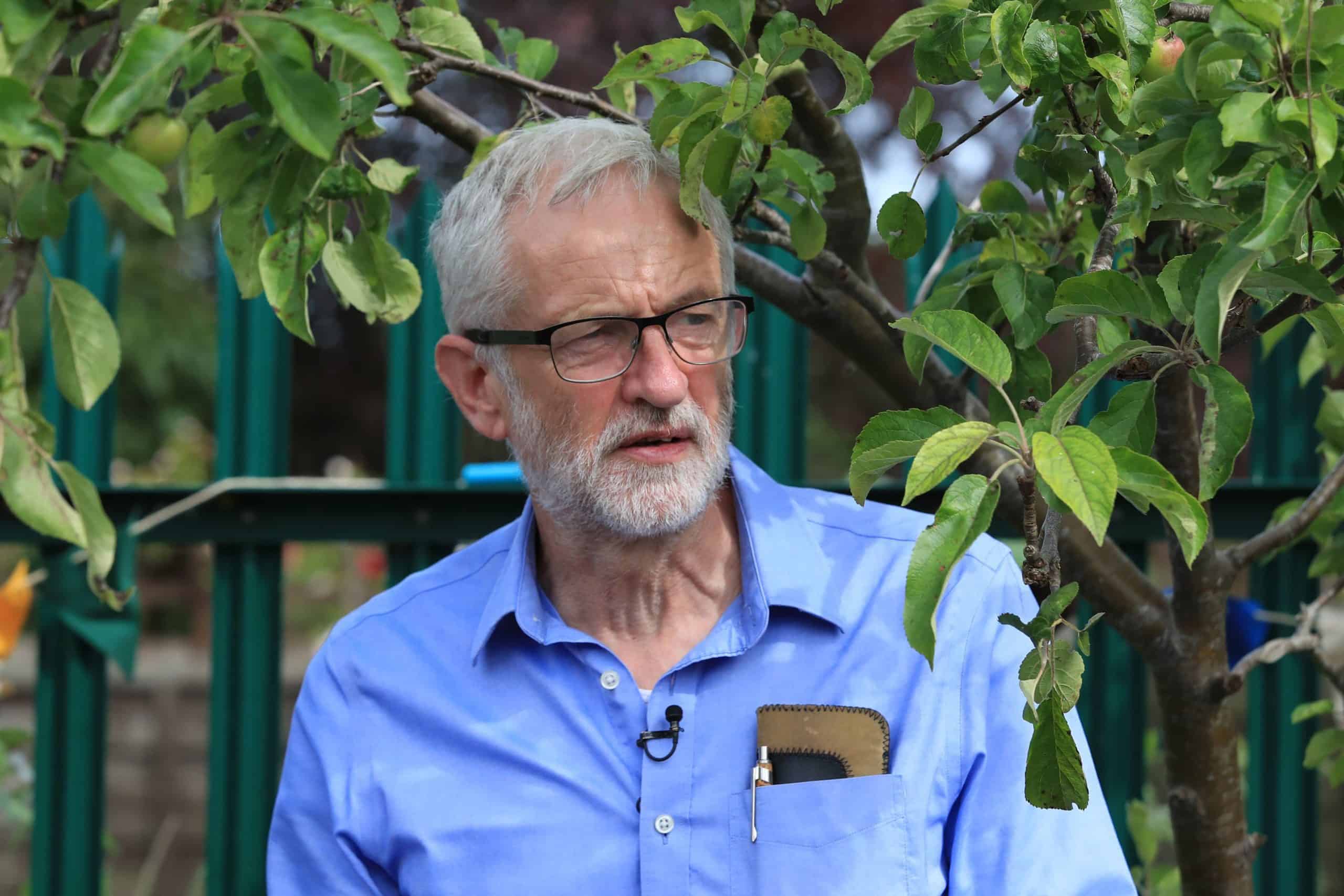 Corbyn was right? City allotments hold key to sustainable farming