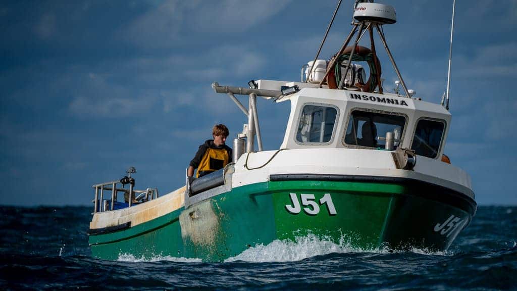 Boris Johnson ‘betrayed’ the fishing industry to get Brexit done – says Express
