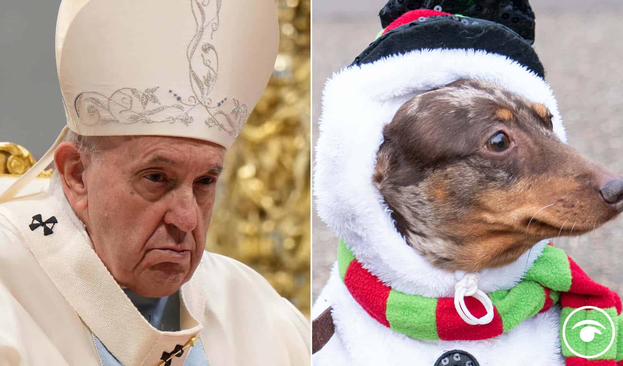 Pontiff ticked off: Pope calls people selfish for having pets instead of kids