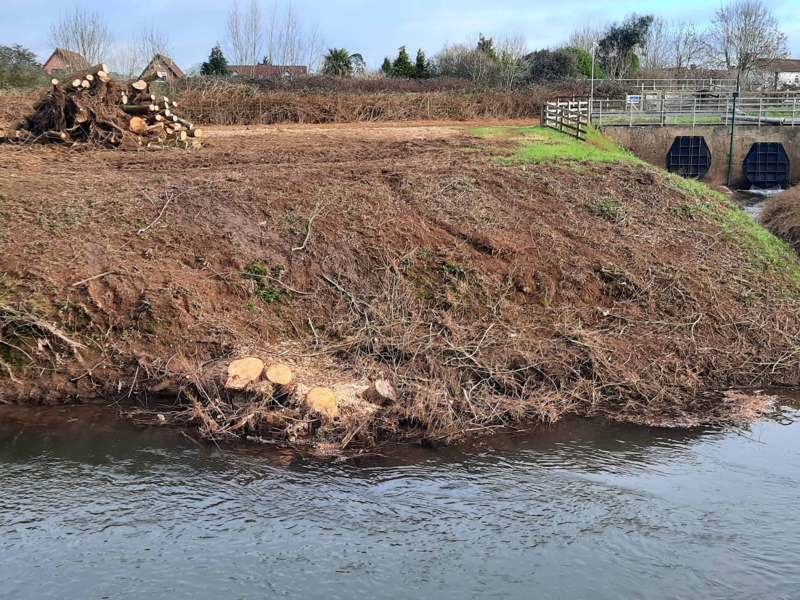 When are we going to start putting nature first? Anger after stretch of river stripped of trees