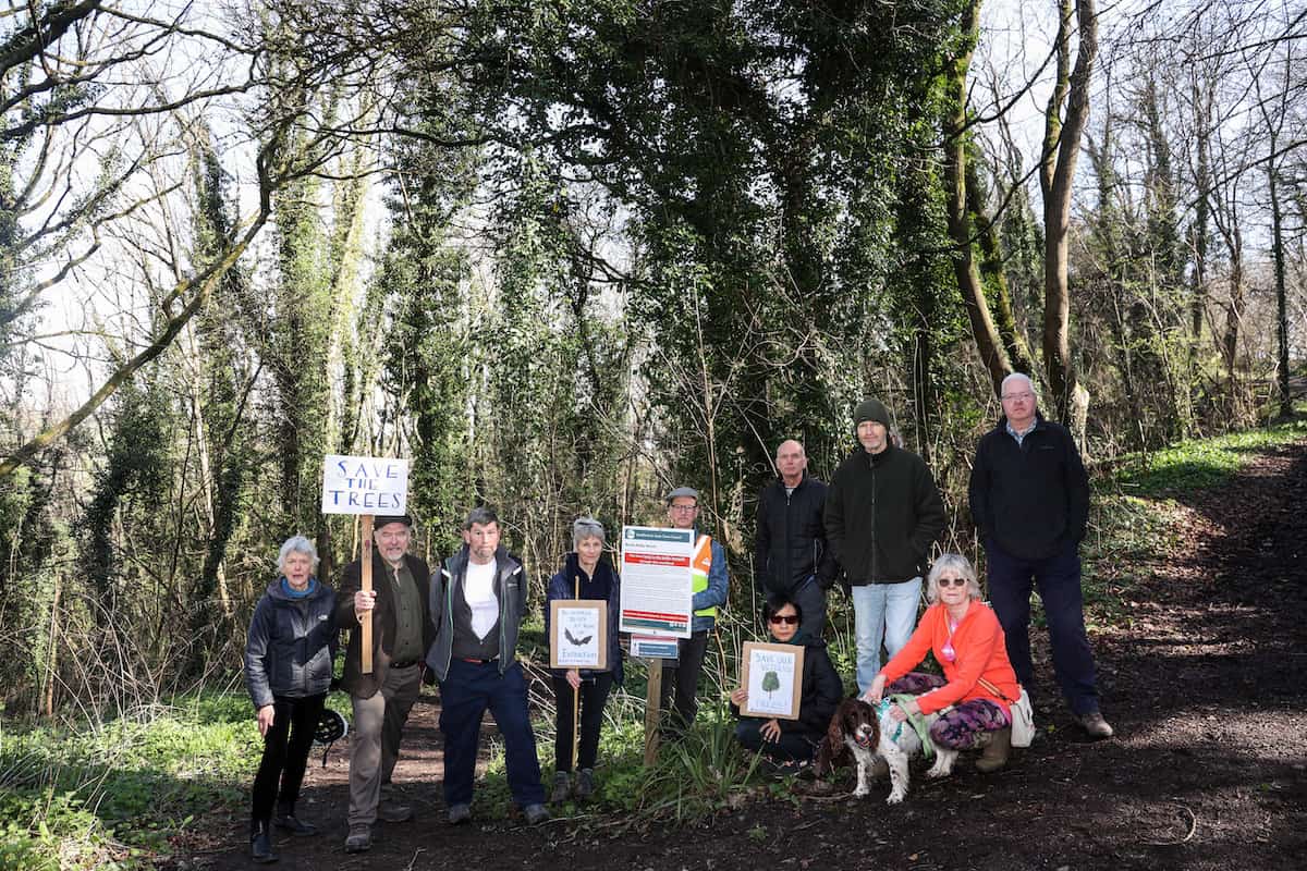 Nature lovers paid £30K to help council buy ancient woodland left furious after plans to cut down 152 trees