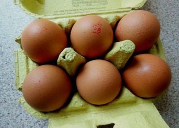 Free Range eggs