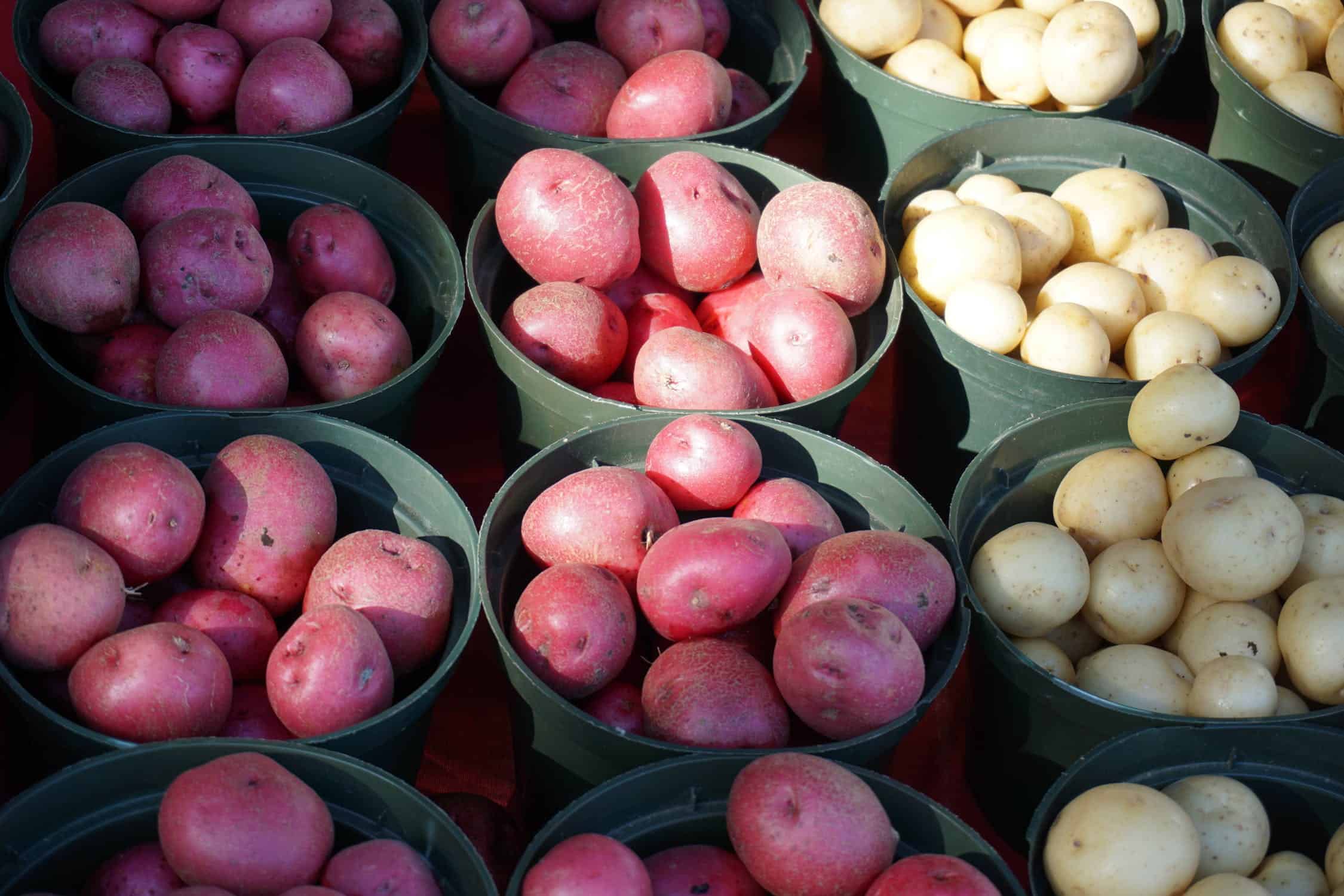The depressing reason why some food banks are turning away potatoes and root vegetables