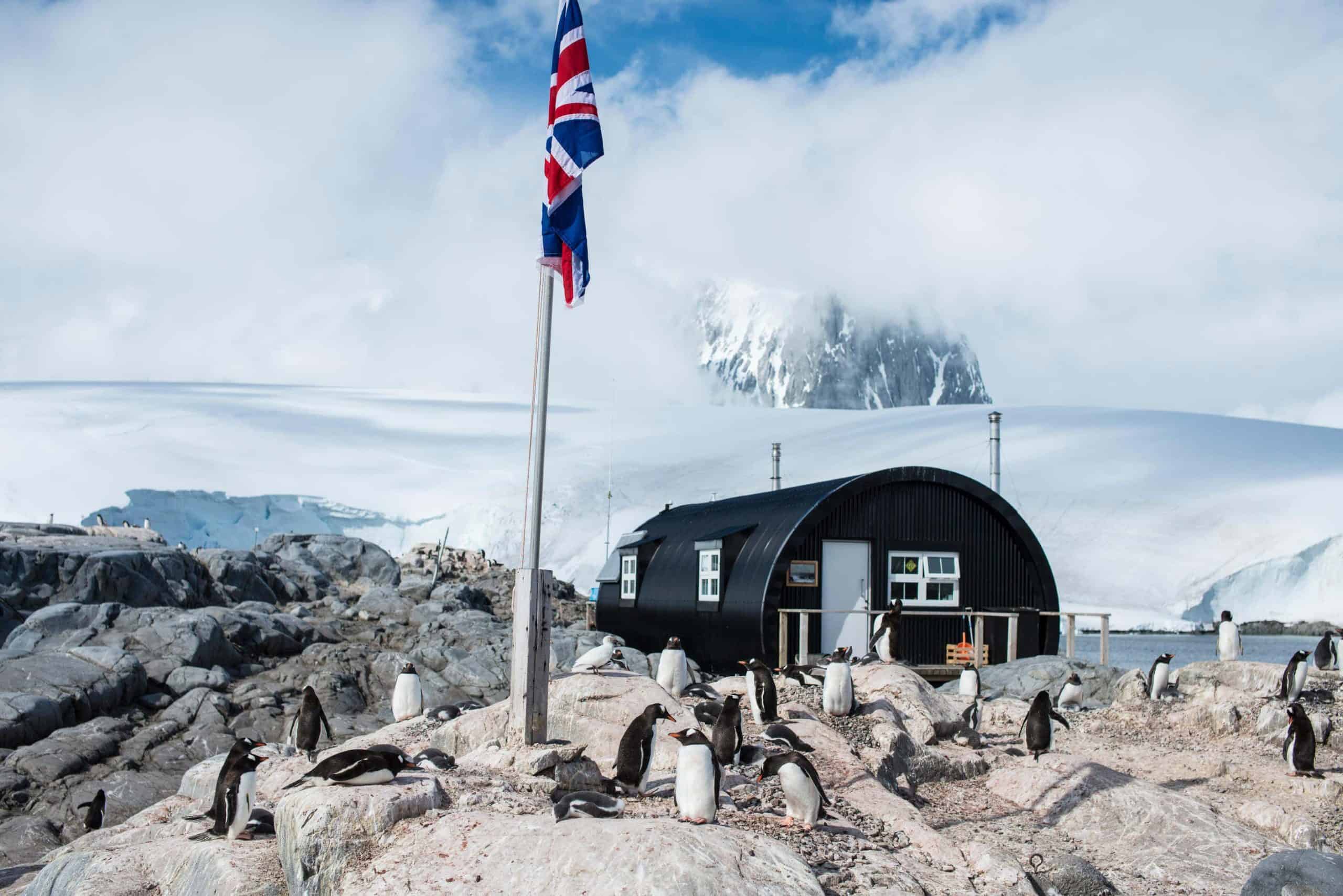 Workers wanted to watch penguins and run gift shop in Antarctica