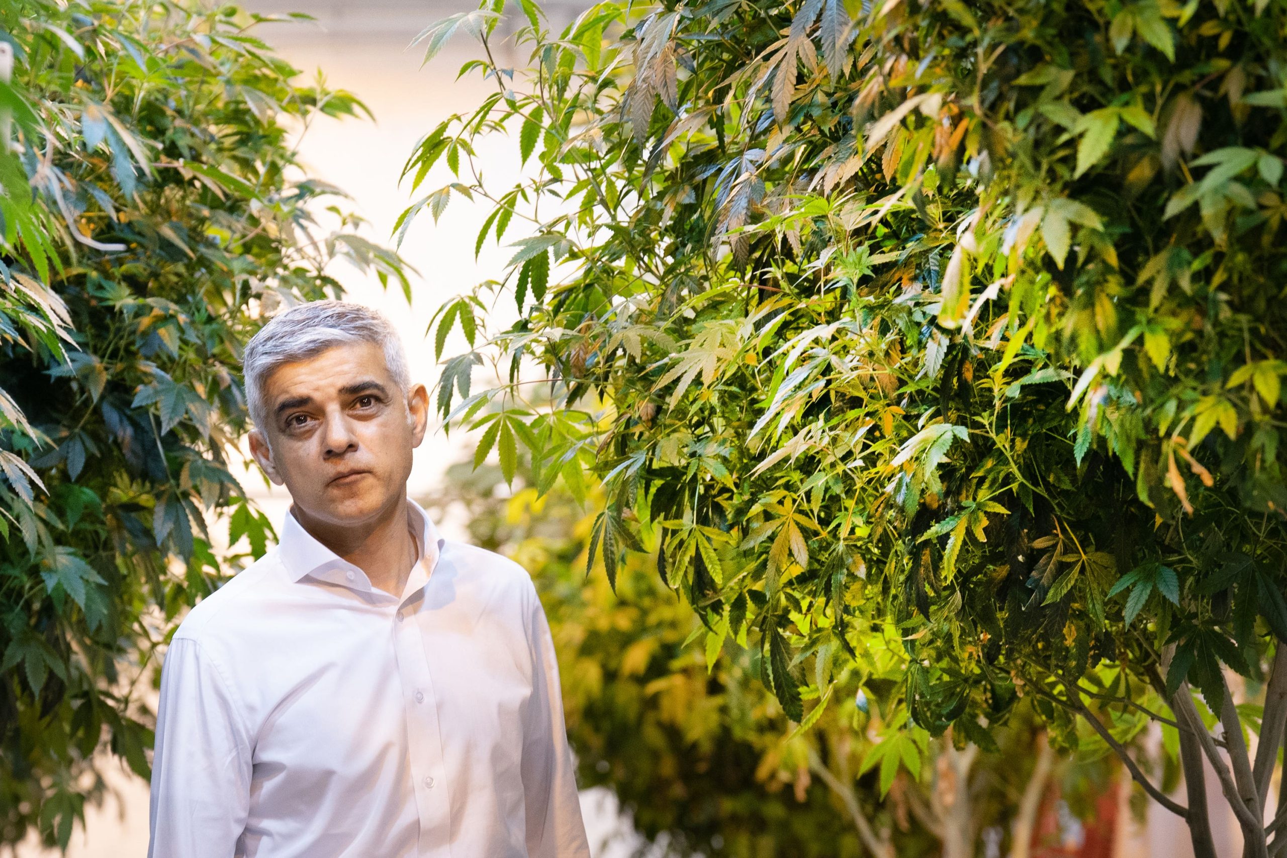 ‘We need a grown-up discussion’: Should cannabis be legalised in the UK?
