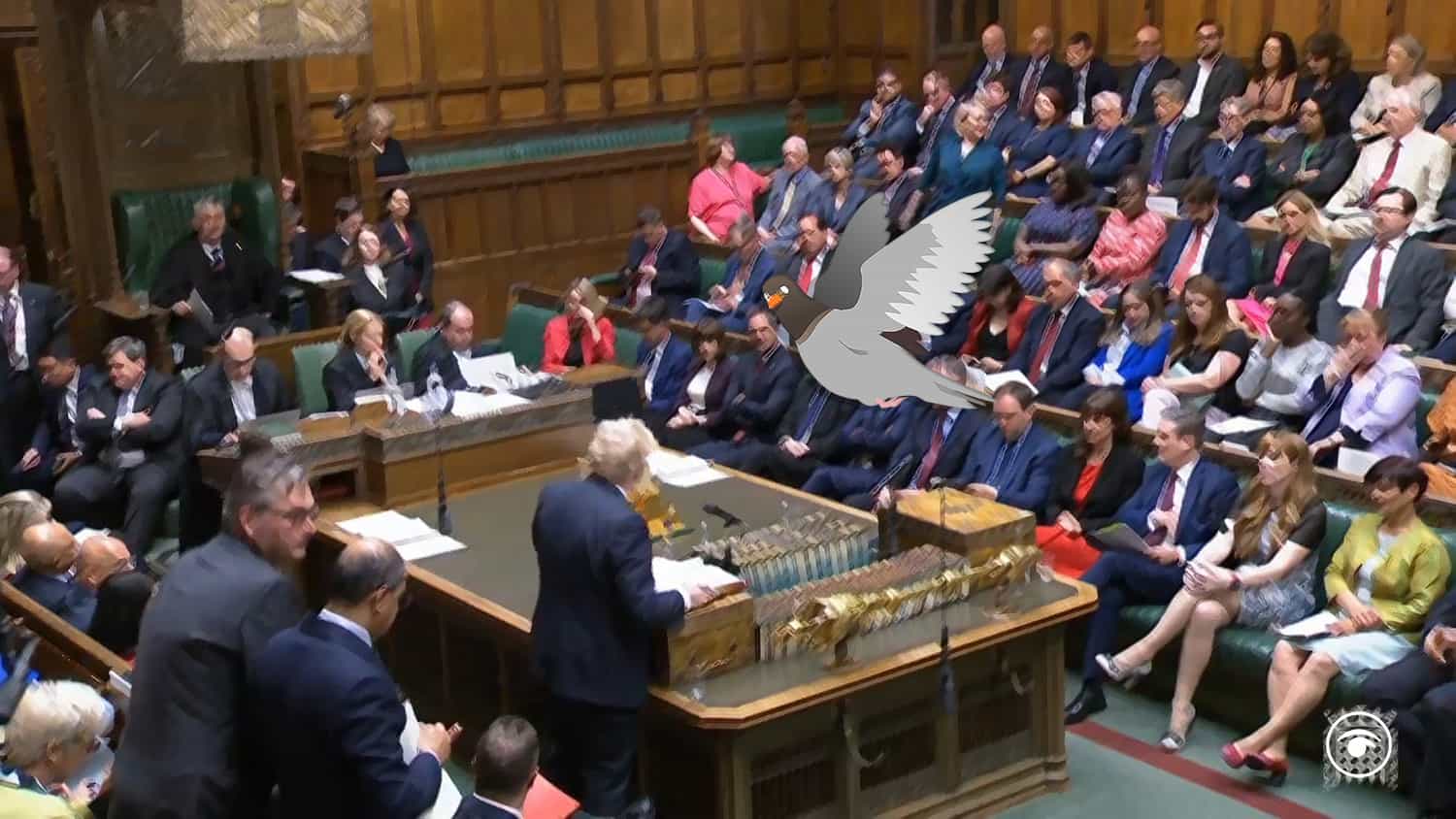 PMQs 18th May – Bird crap on the PM as rest of us are left in the sh*t