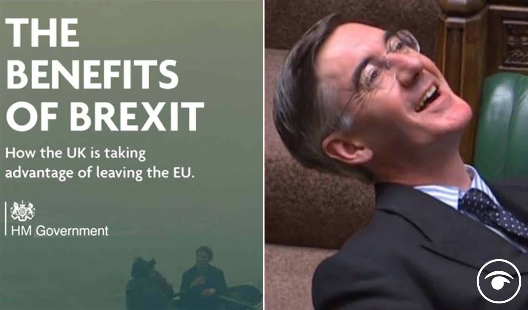 Watch: Rees-Mogg’s new Brexit benefit is more pathetic than his recent universal charger ‘win’