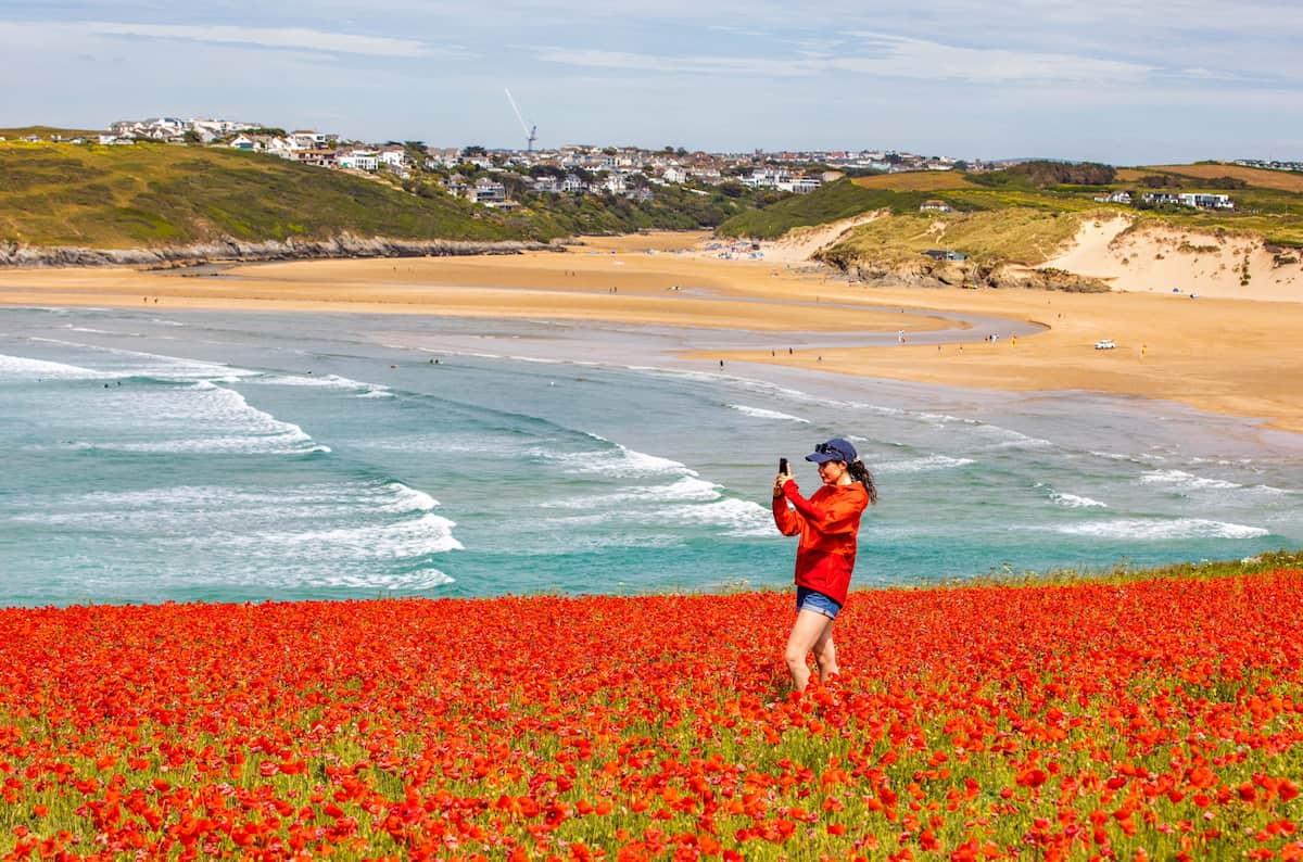 Poppy fields being trampled by people trying for the perfect Insta picture