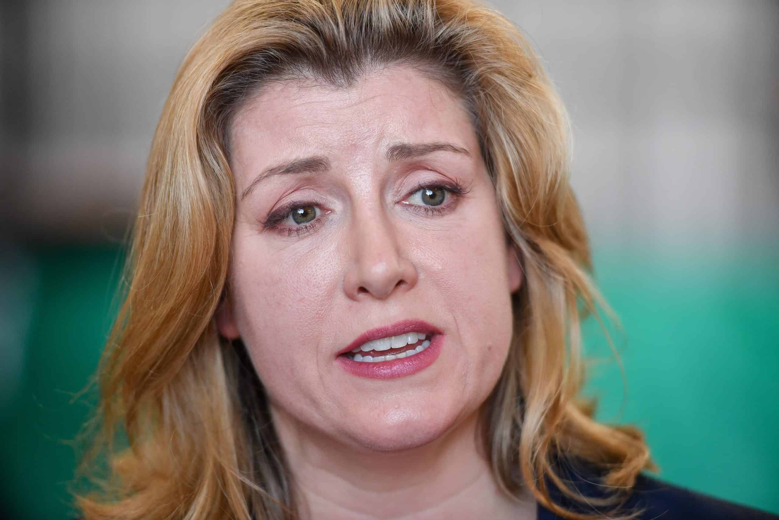 Tory MPs plotting to replace Sunak with Penny Mordaunt before general election