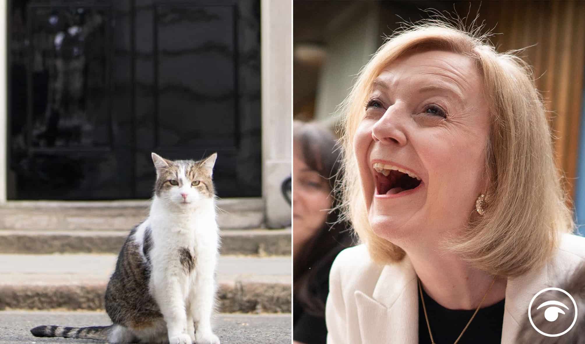 Watch: Children tell Truss ‘Larry the cat should be PM’ after being ambushed by badgers
