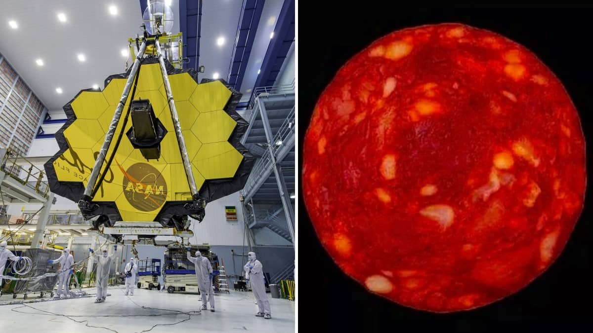 Star captured on $10 billion James Webb Space Telescope is actually a slice of chorizo