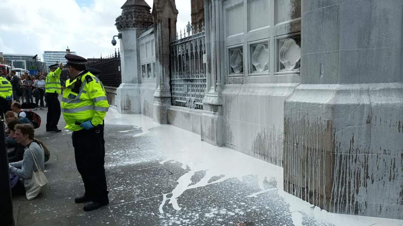 Animal Rebellion spray white substance across Parliament wall