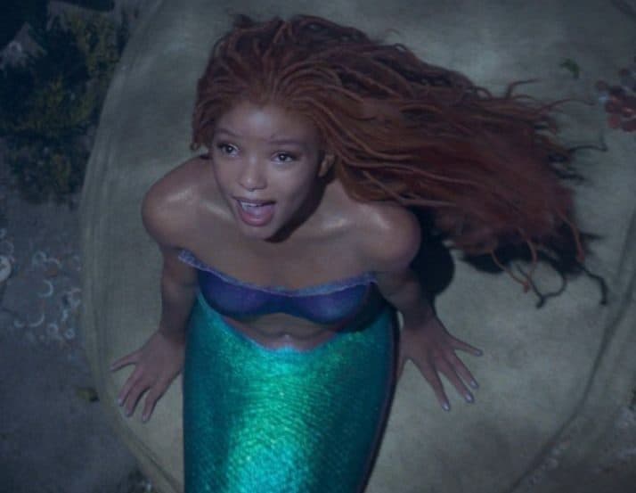 Backlash against Halle Bailey’s Little Mermaid but this tweet sums it up perfectly