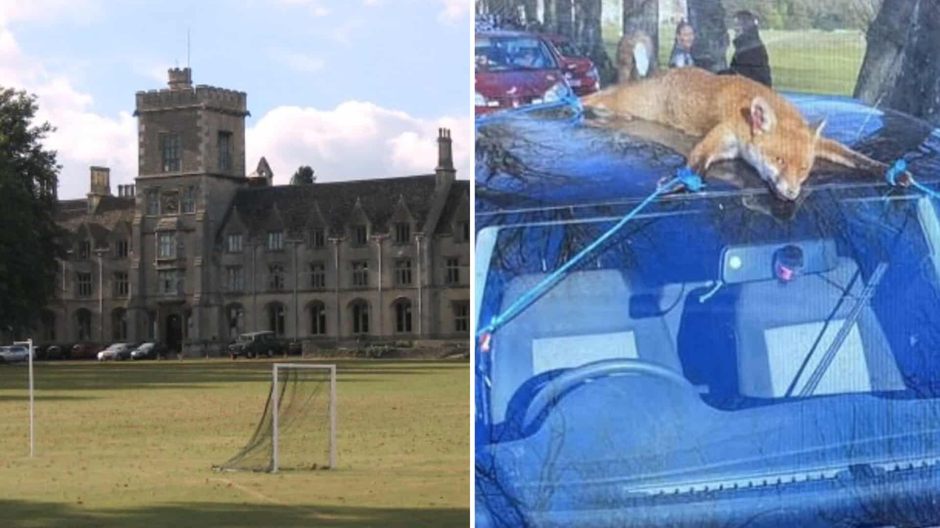 Agriculture students strap dead fox to car roof in sick stunt at charity rally