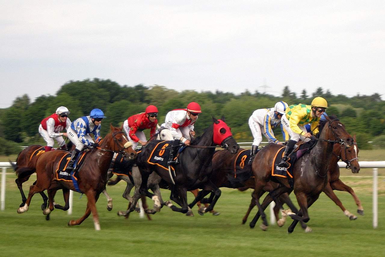 The Biggest Horse Racing Betting Wins in History