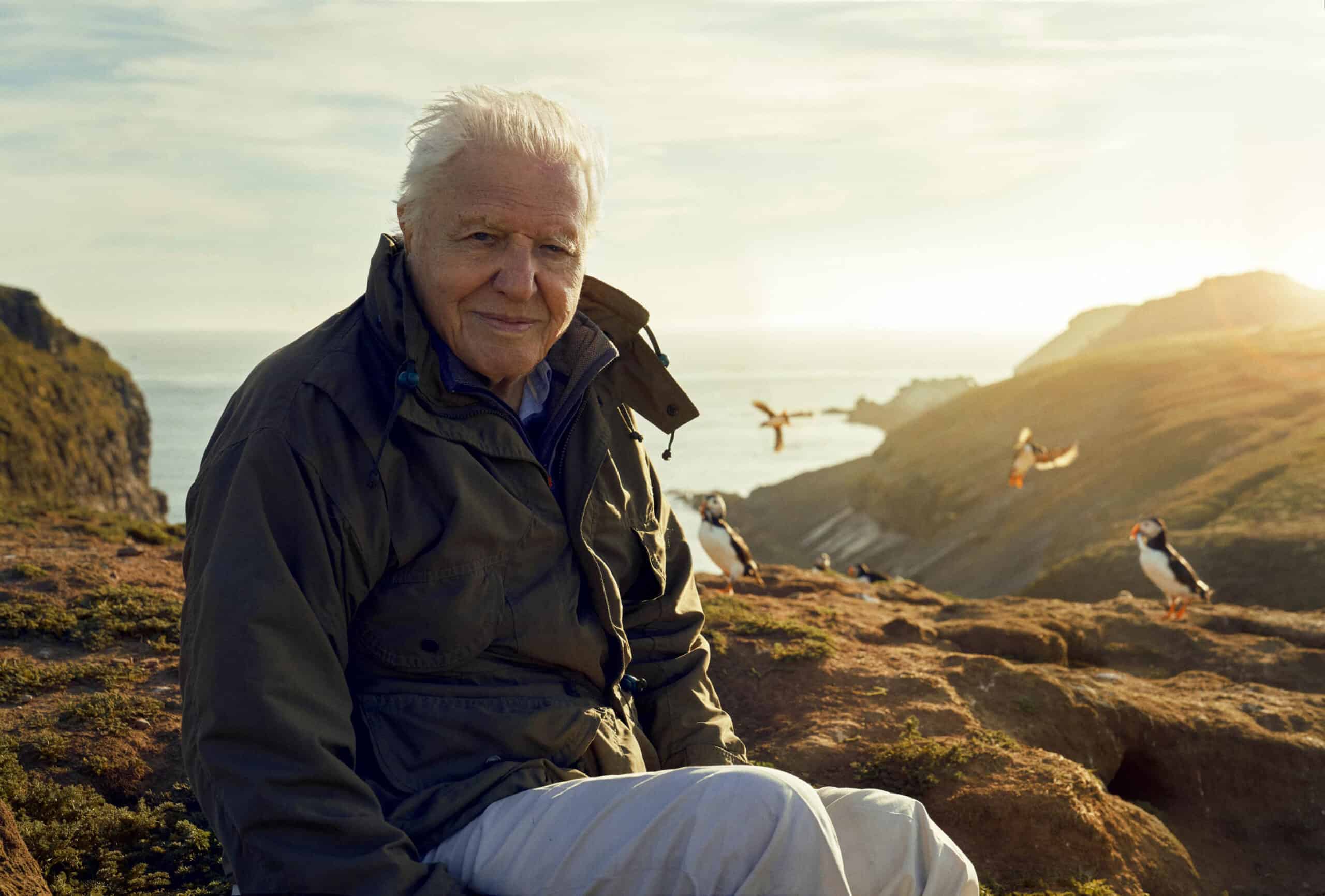 BBC cancels David Attenborough over fear of right-wing backlash