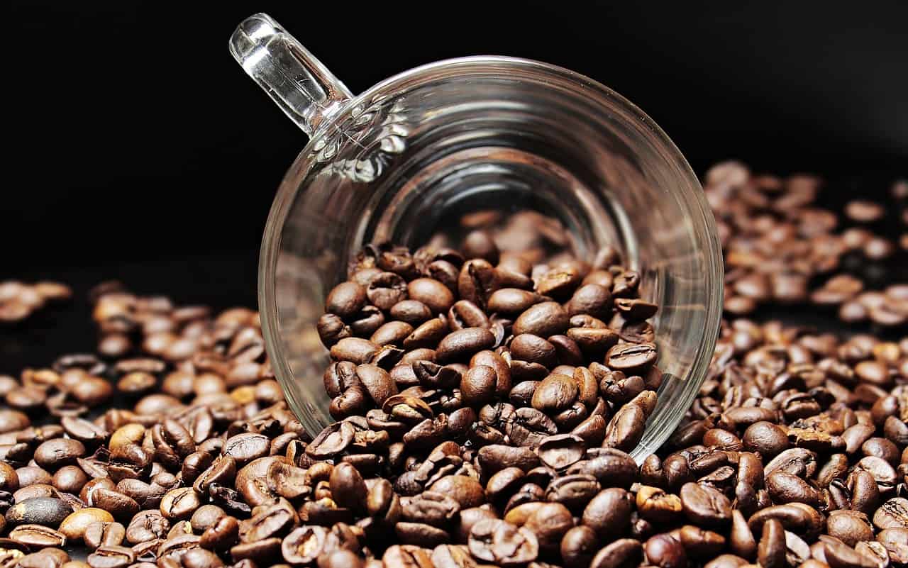 Bean Roasting Level Effect on Coffee Taste