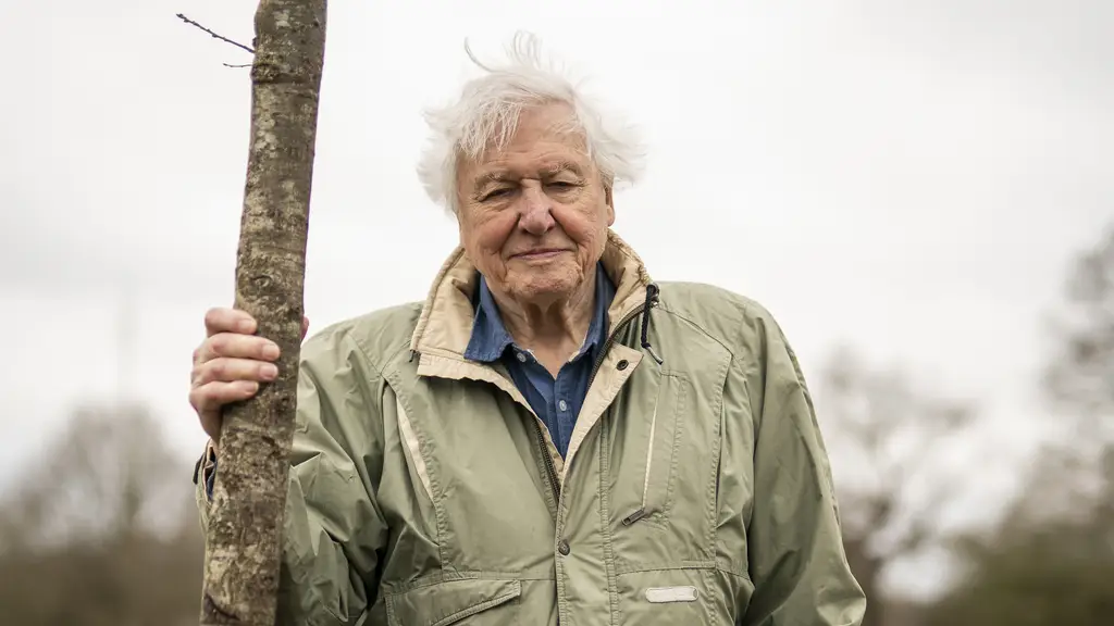 Sir David Attenborough warns we have a few short years left to fix natural world