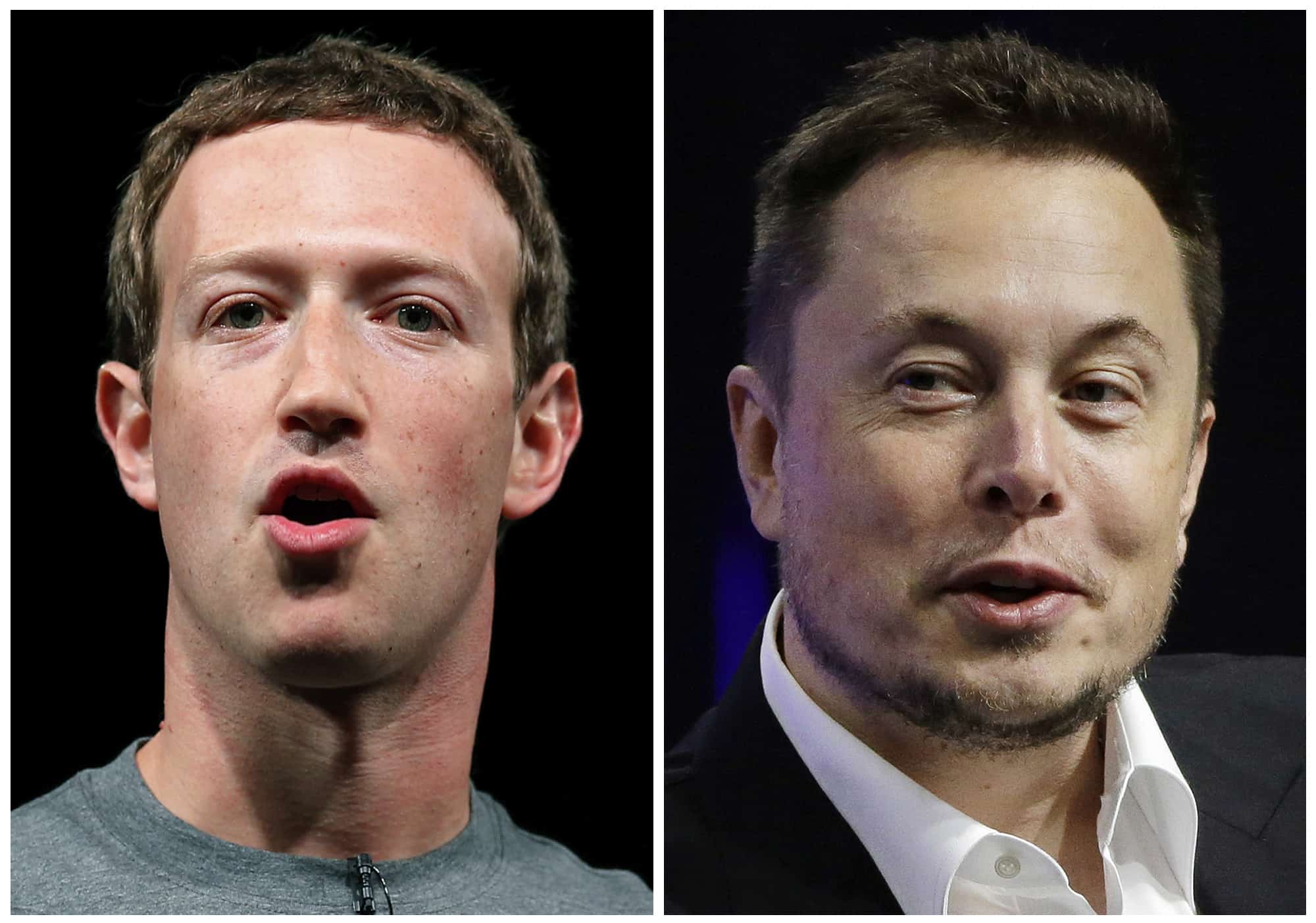 Zuckerberg says he’s secured venue for cage fight – but Musk isn’t interested