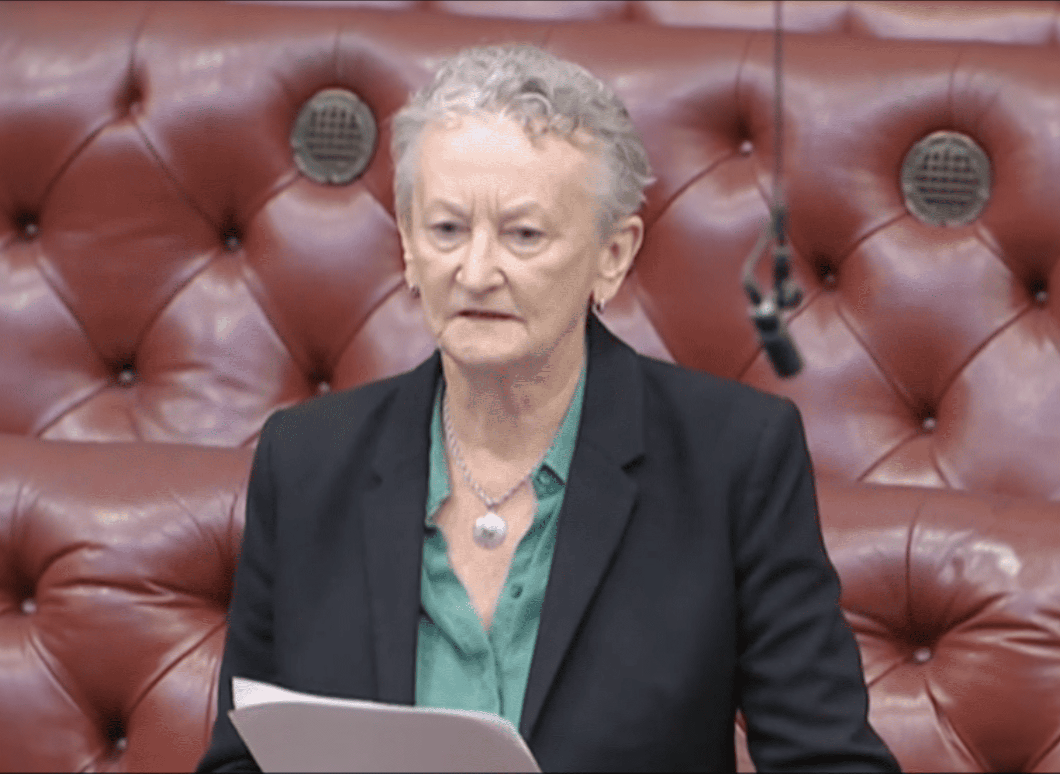 Jenny Jones dubs Govt ‘systemically corrupt’ ahead of housing vote