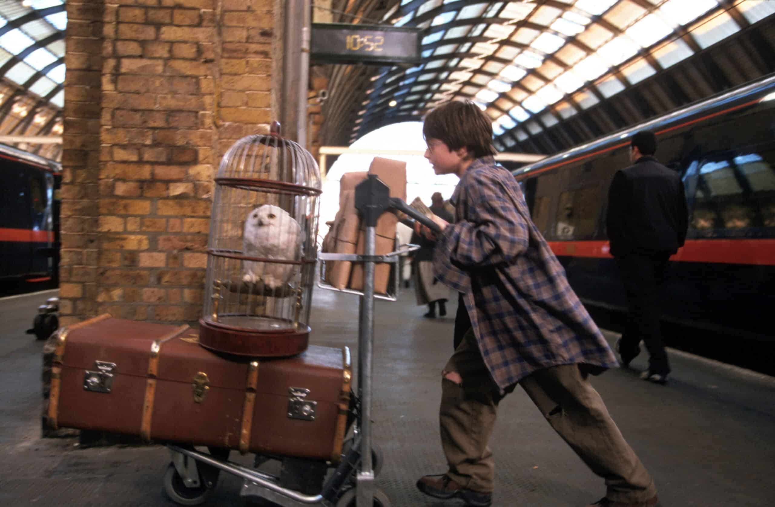 Americans thought things in Harry Potter belonged to the wizarding world but they were actually just British
