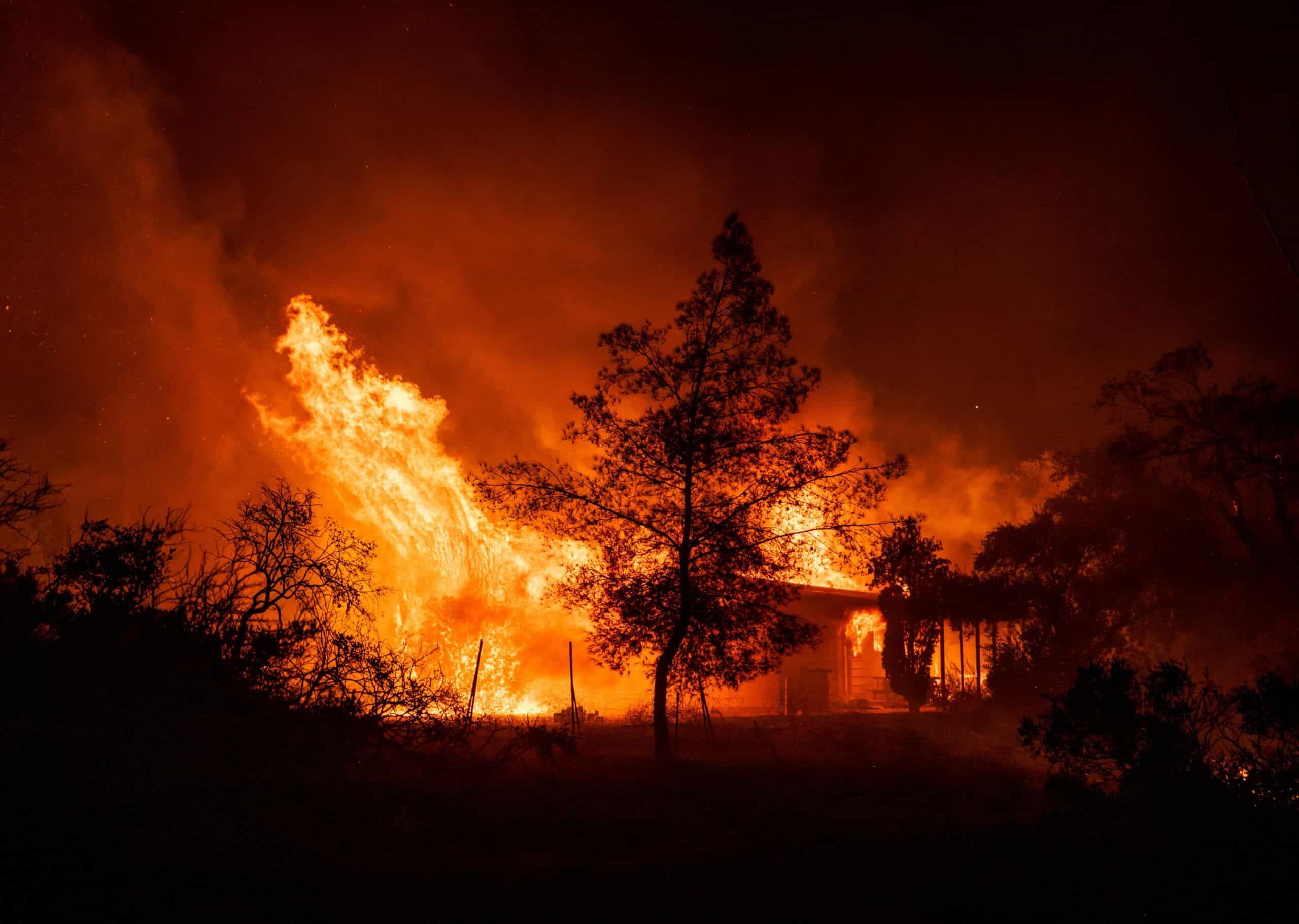 ‘Deafening cacophony of broken records’ as 2023 set to be hottest year on record