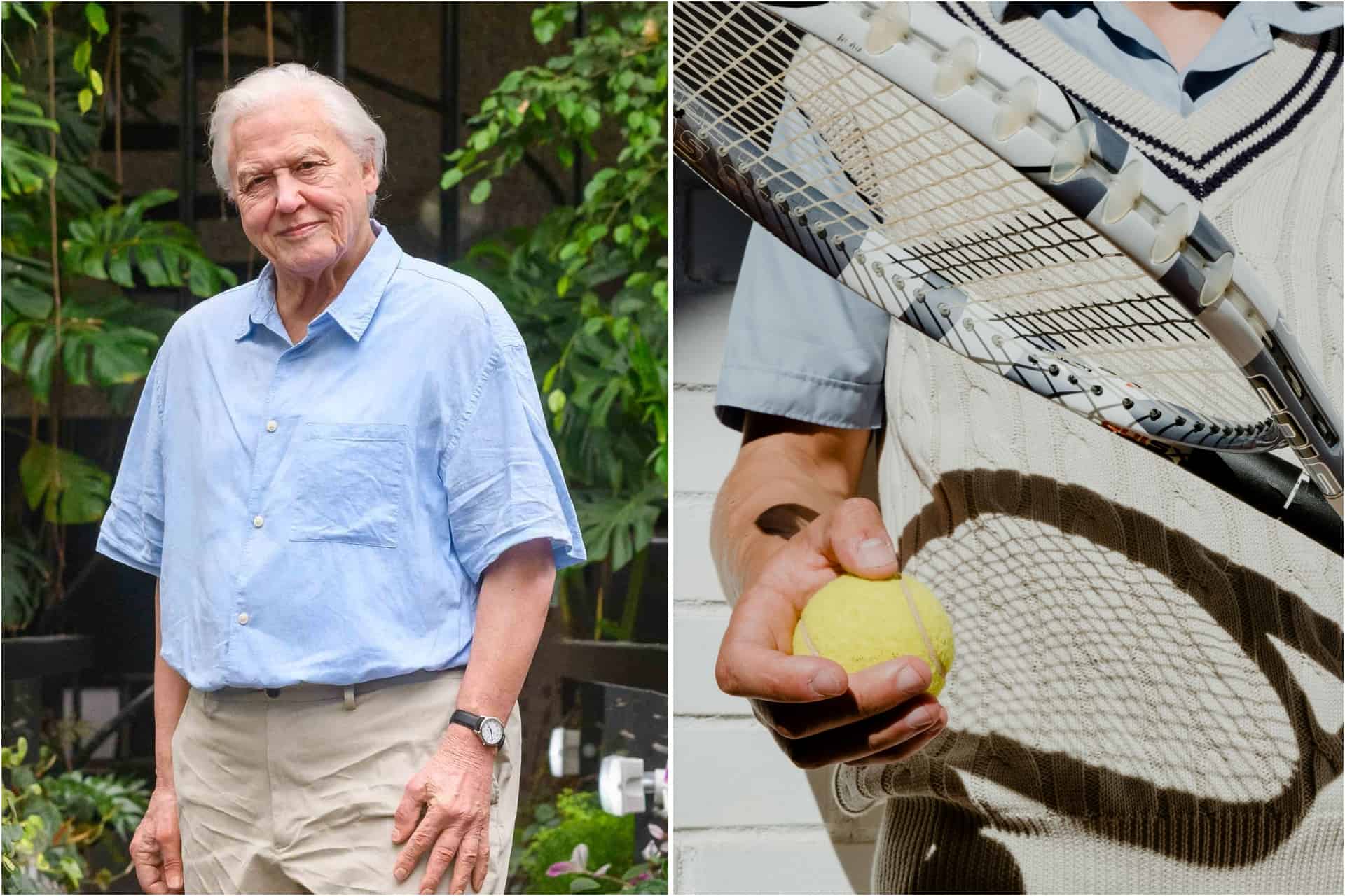 Sir David Attenborough is the reason why tennis balls are yellow
