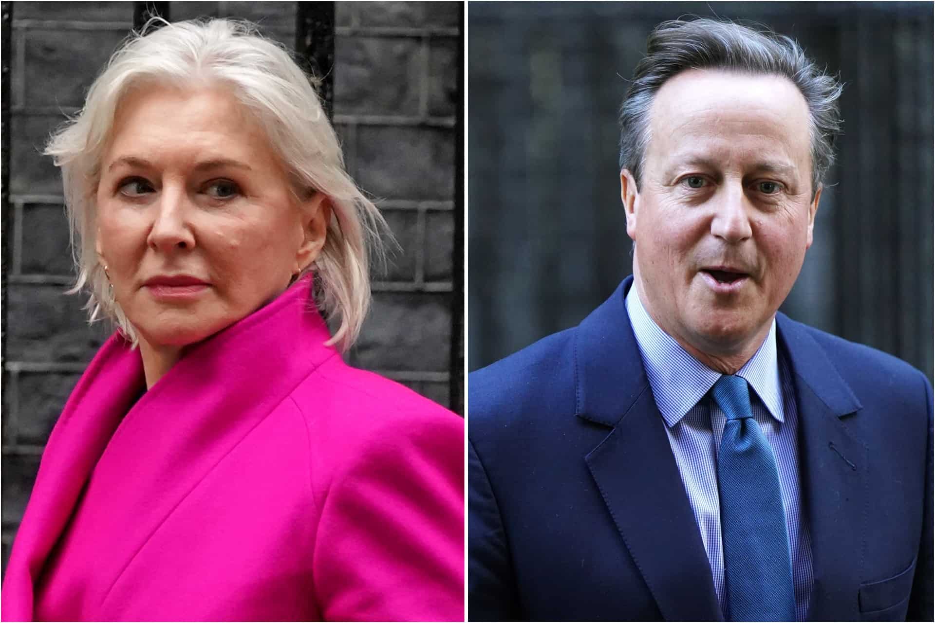 THE PLOT: Dorries says David Cameron will become next Tory Party leader