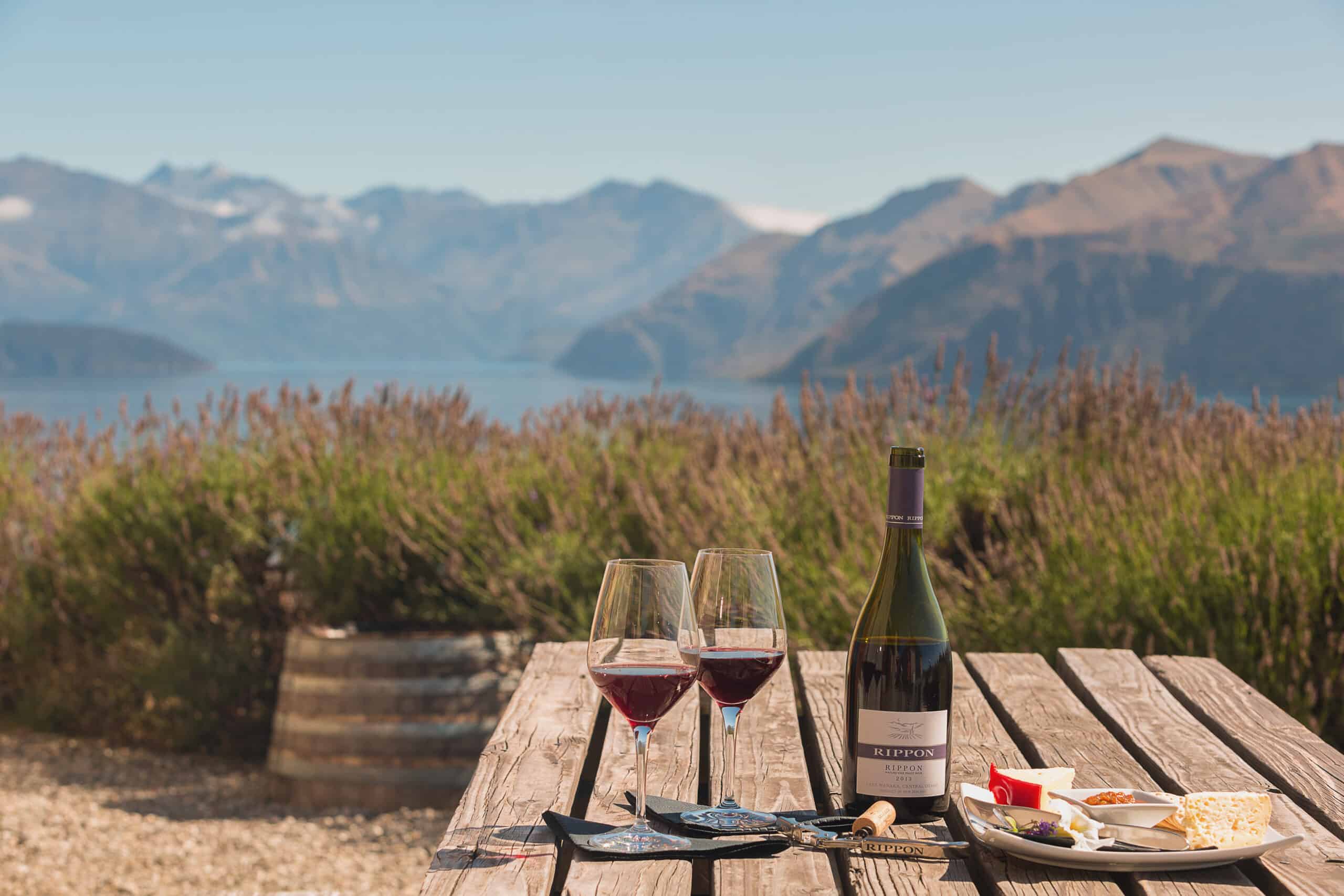 Beyond Marlborough: Where to look for New Zealand’s lesser-known wines