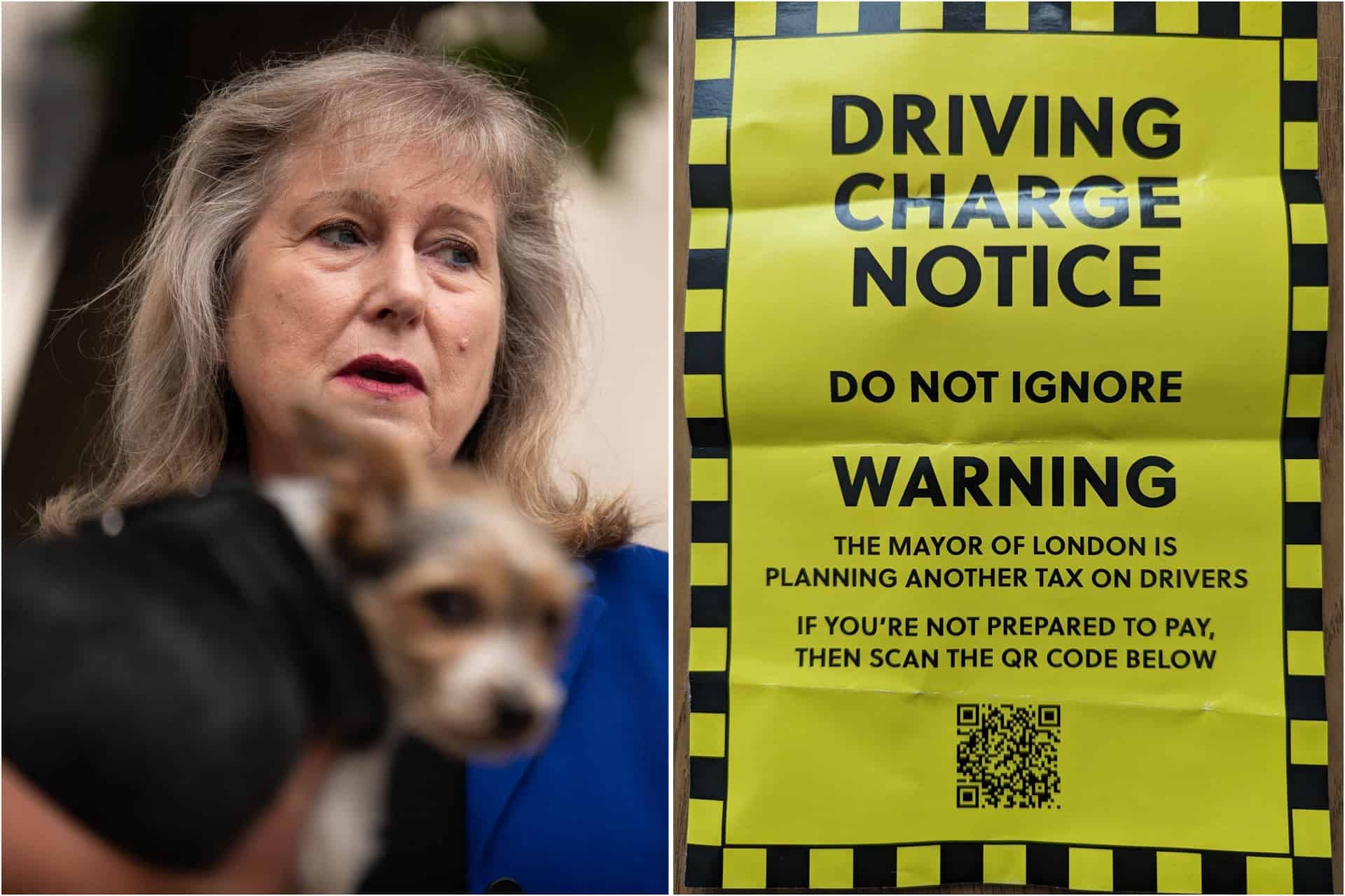 Tory campaign leaflets disguised as ‘driving charge notices’ mailed ahead of local elections