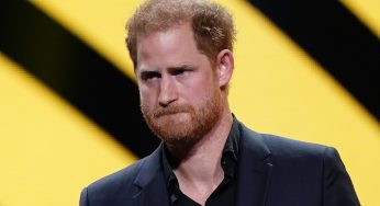 King has no time to see Prince Harry on UK visit
